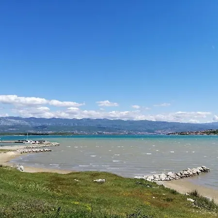 Cilijin Dvor Cizici